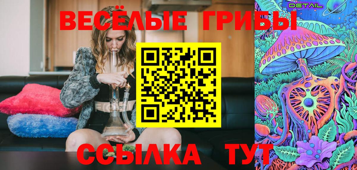 Юрга  что такое   Вход с VPN  Галлюциногенные грибы мицелий 